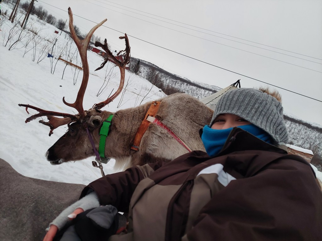 Reindeer Sledding with the Sami People
